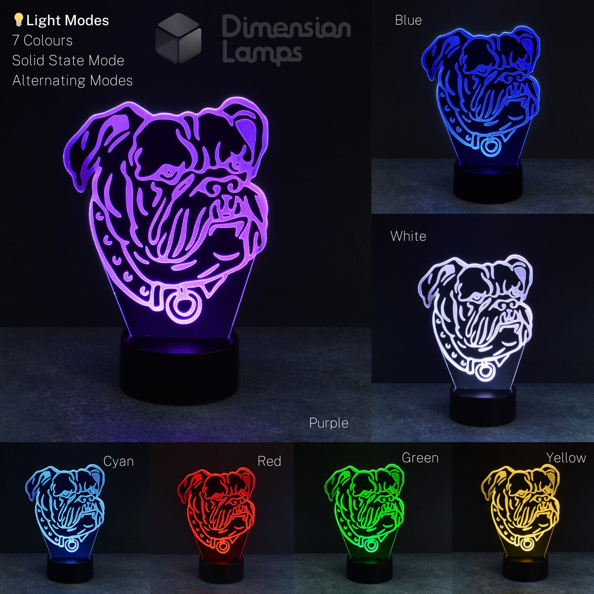 A 3D lamp with a laser-etched bulldog head and collar design is illuminated in seven colours – purple, blue, white, cyan, red, green, and yellow – each shown on a black base against a dark background in a collage. A unique gift for bulldog owners in Australia.